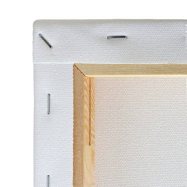 LQX RECYCLED CANVAS_ BACK_ STAPLES _DEEP