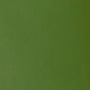 professional-soft-body-acrylic-chromium-oxide-green-universal