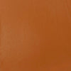 professional-soft-body-acrylic-raw-sienna-universal