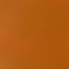 professional-soft-body-acrylic-transparent-raw-sienna-universal