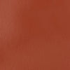 professional-soft-body-acrylic-red-oxide-universal