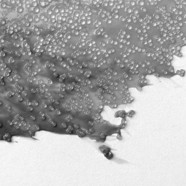 Professional Glass Beads