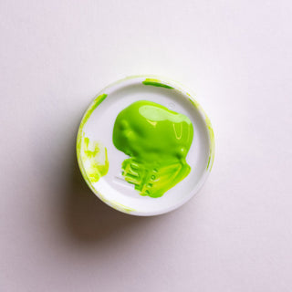 LQX_SUBSTANCE_BRAT_SWATCH