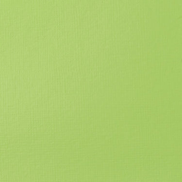 LQX BASICS ACRYLIC 840 BRILLIANT YELLOW GREEN [WEBSITE SWATCH]