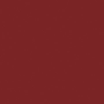 Professional Spray Paint - Cadmium Red Light Hue 2