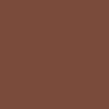 Professional Spray Paint - Burnt Sienna 5