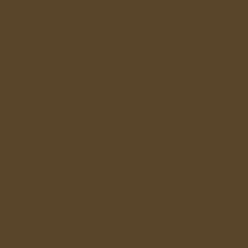 Professional Spray Paint - Raw Umber