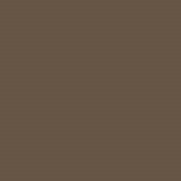 Professional Spray Paint - Raw Umber 6
