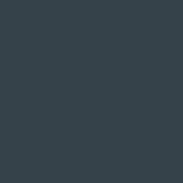Professional Spray Paint - Neutral Gray 3