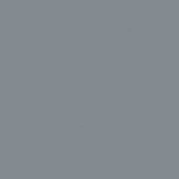 Professional Spray Paint - Neutral Gray 5