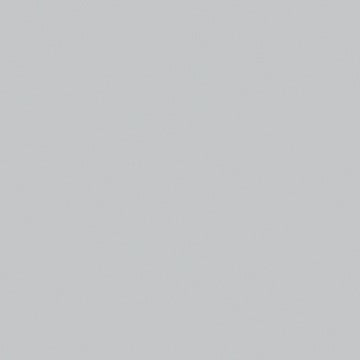 Professional Spray Paint - Neutral Gray 7