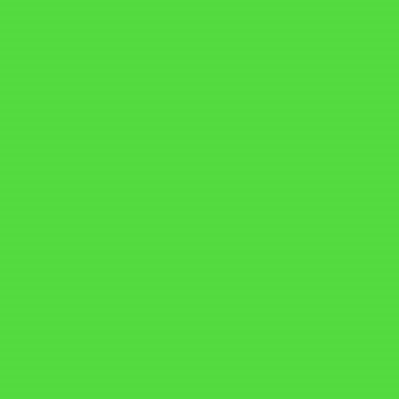 Professional Spray Paint - Fluorescent Green