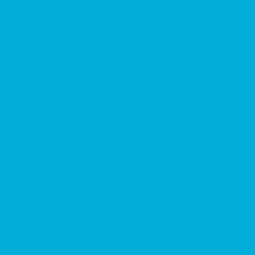 Professional Spray Paint - Fluorescent Blue