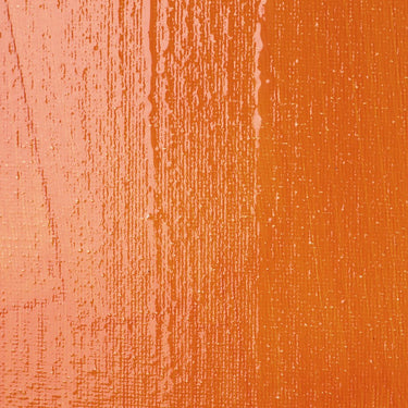 Professional High Gloss Varnish