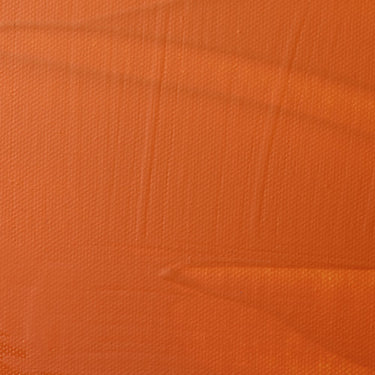 Professional Matte Varnish Spray