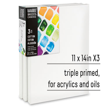 LQX BASICS CANVAS 11X14IN X3 887452048350 [KEY POINTS]