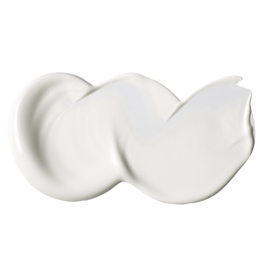 Professional Soft Body Acrylic - Titanium White - Universal